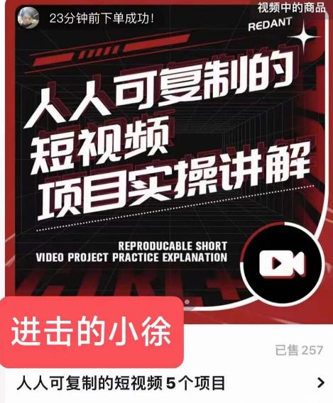进击的小徐·人人可复制的短视频5个项目,实操讲解年销售额八位数级别项目