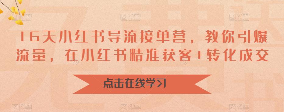 16天小红书导流接单营,教你引爆流量,在小红书精准获客+转化成交