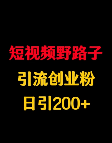 短视频野路子引流创业粉，日引200+