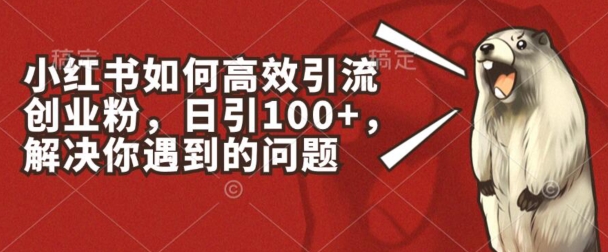 小红书如何高效引流创业粉,日引100+,解决你遇到的问题
