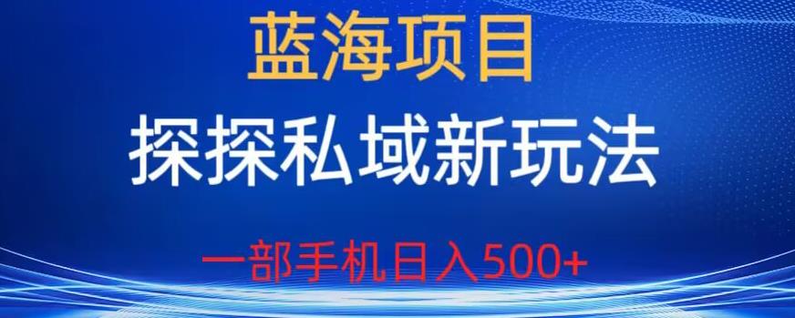 蓝海项目,探探私域新玩法,一部手机日入500+很轻松【揭秘】