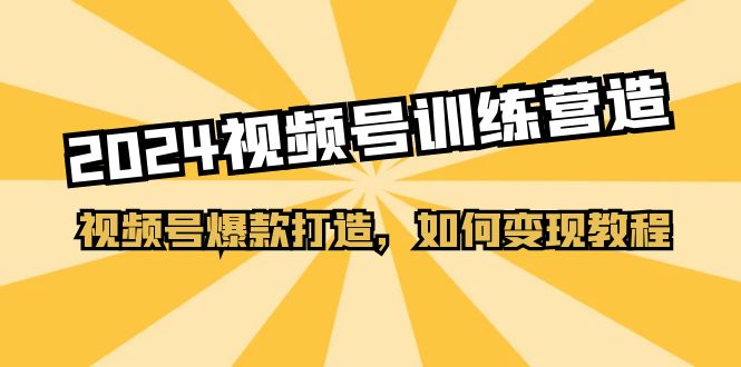 (11135期)2024视频号训练营,视频号爆款打造,如何变现教程(20节课)