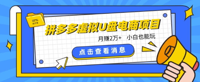 拼多多虚拟U盘电商红利项目:月赚2万+,新手小白也能玩