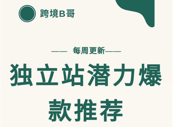 【跨境B哥】独立站潜力爆款选品推荐,测款出单率高达百分之80