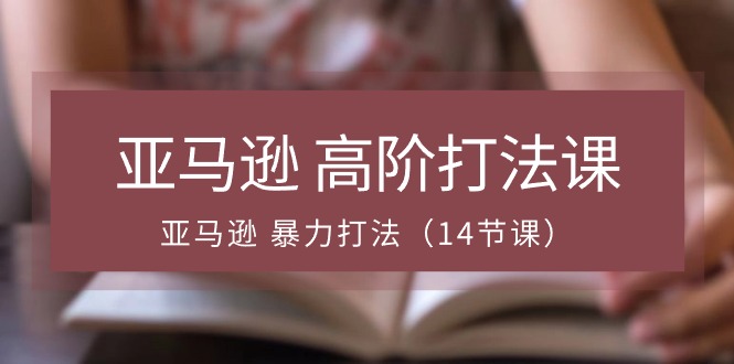 亚马逊高阶打法课,亚马逊暴力打法(14节视频课)