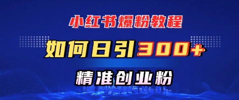 小红书爆粉教程，如何日引300+创业粉，快速实现精准变现