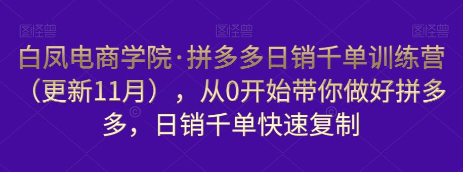 白凤电商学院·拼多多日销千单训练营(更新11月),从0开始带你做好拼多多,日销千单快速复制