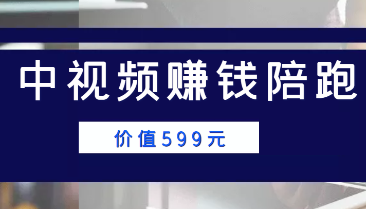 中视频赚钱陪跑,卖中视频账户赚钱收益陪跑项目(价值599元)