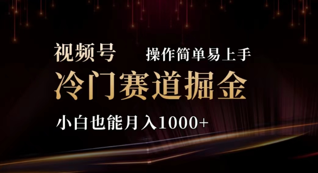 (11378期)2024视频号冷门赛道掘金,操作简单轻松上手,小白也能月入1000+