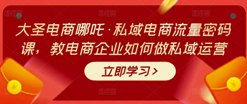 大圣电商哪吒·私域电商流量密码课,教电商企业如何做私域运营