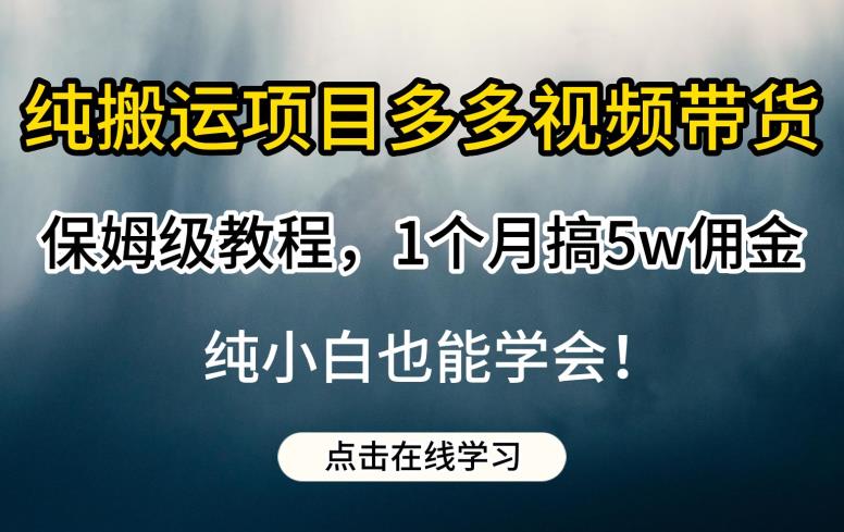 纯搬运项目多多视频带货保姆级教程,1个月搞5w佣金,纯小白也能学会【揭秘】