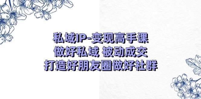 私域IP变现高手课:做好私域被动成交,打造好朋友圈做好社群(18节)