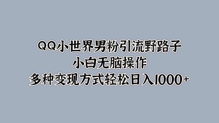 QQ小世界男粉引流野路子，小白无脑操作，多种变现方式