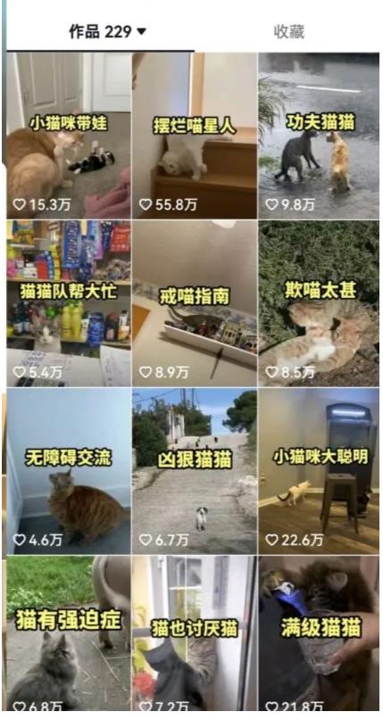 拆解:抖音盘点类中视频变现副业项目,视频版一条龙大解析分享给你