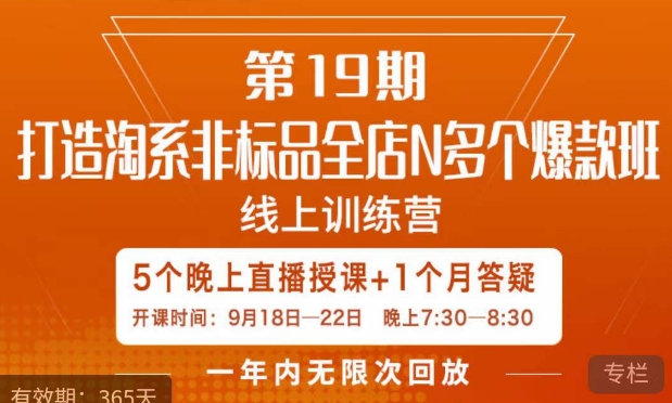 打造淘系非标全店N多个爆款线上课,?5天直播课