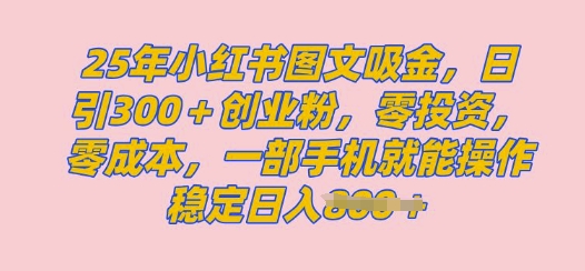 2025年小红书创业粉图文自热教程，日+300创业粉，单日变现多张，无脑操作，宝妈，小白抓紧冲