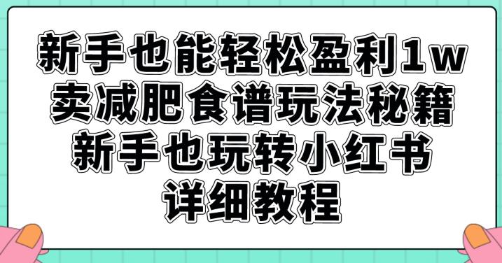 新手也能轻松盈利1w,卖减肥食谱玩法秘籍,新手也玩转小红书详细教程【揭秘】