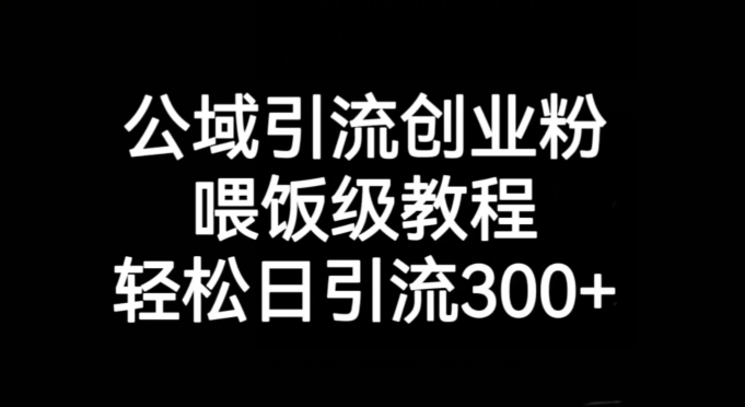 公域引流创业粉,喂饭级教程,轻松日引流300+【揭秘】