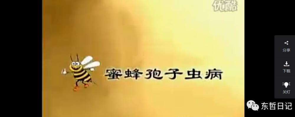 东哲日记:全网首创实物虚拟电商项目,速来捡钱,成本低,一单赚几十块!