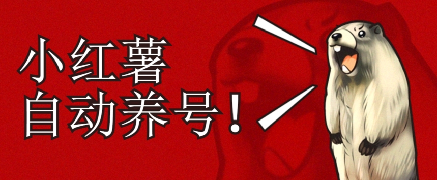 小红书养号秘籍,如何自动涨粉清晰系统标签打造高权重账号【揭秘】