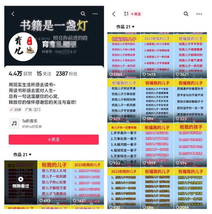 黄岛主·视频号儿女祝福视频引流变现分享课,银发经济新风囗【视频+素材】