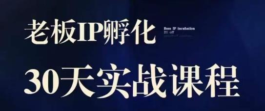 诸葛·2023老板IP实战课,实体同城引流获客,IP孵化必听
