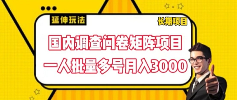 国内调查问卷矩阵项目,一人批量多号月入3000