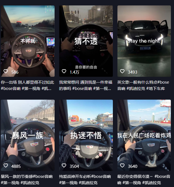 抖音开车视频项目,0基础操作,每天五分钟,月入1W