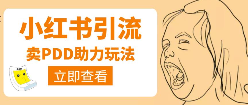 利用小红书卖拼多多助力,日赚100+,顺便还能引个流