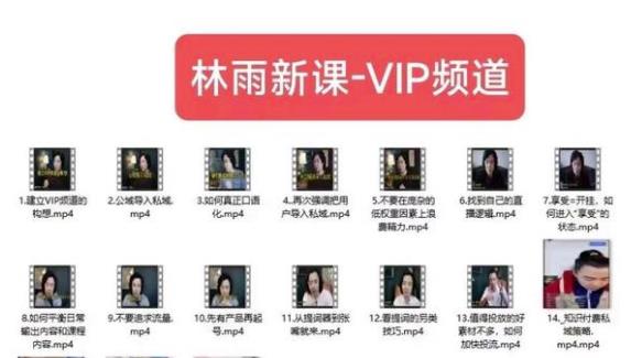 林雨新课VIP频道,玩赚私域/朋友圈/社群