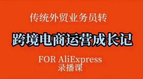 跨境电商速卖通运营课，?运营方法论+后台实操，逻辑清晰