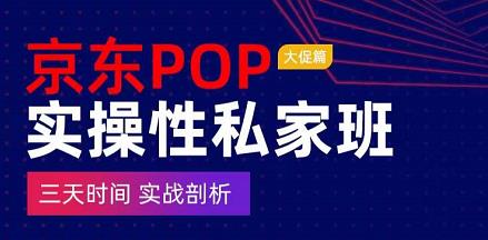 京东POP实操性私家班——大促篇,?三天时间,实战剖析-?原价4980