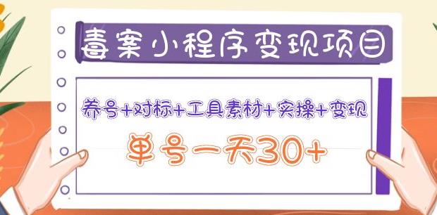 森罗万项毒案小程序变现项目:养号+对标+工具素材+实操+变现,单号一天30+