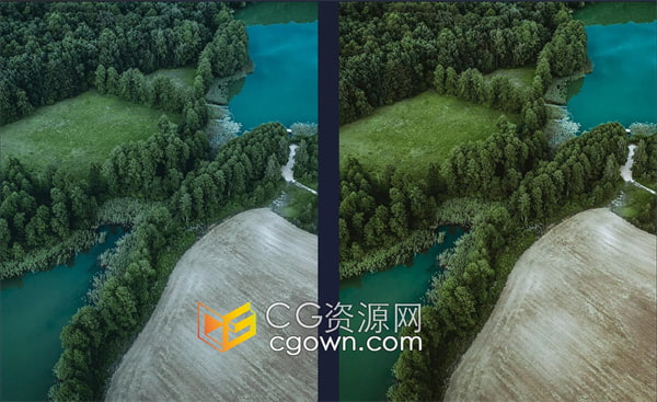 金棕色森林绿色和深蓝色高级LUT提升大自然色彩亮度活力和微妙色调
