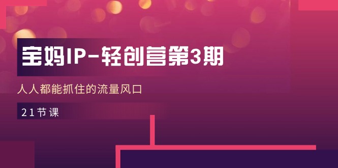 宝妈IP轻创营第3期,人人都能抓住的流量风口(21节课)
