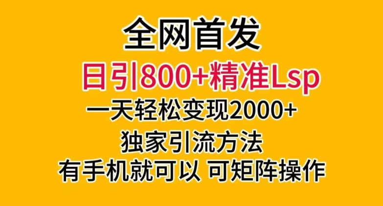 全网首发!日引800+精准老S批,一天变现2000+,独家引流方法,可矩阵操作【揭秘】
