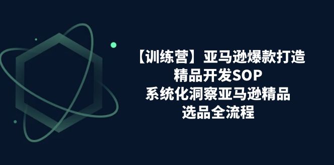 (11210期)【训练营】亚马逊爆款打造之精品开发SOP,系统化洞察亚马逊精品选品全流程