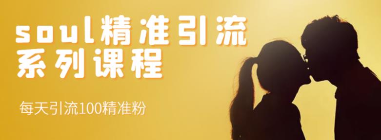SOUL精准引流系列课程,每天引流100精准粉