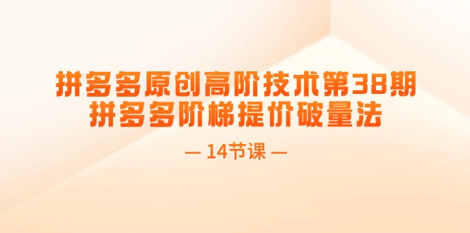 拼多多原创高阶技术第38期,拼多多阶梯提价破量法(14节课)