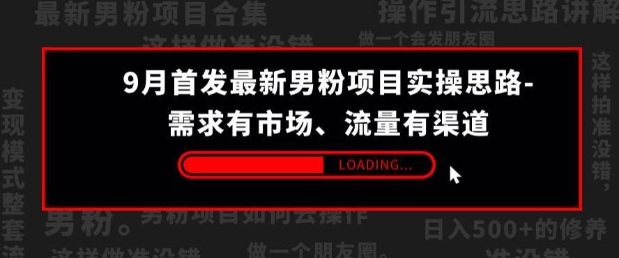 9月首发最新男粉项目实操思路-需求有市场,流量有渠道【揭秘】