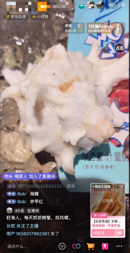最新抖音快手赶海无人直播流量庞大,效果出奇的好(教程+素材)