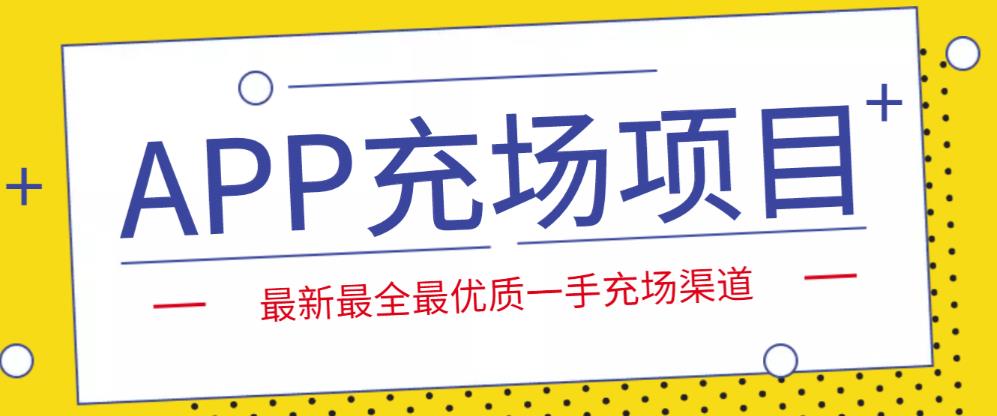 外面收费9800的APP充场项目,实操一天收入800+个人和工作室都可以做