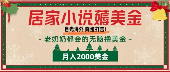 居家小说薅美金，拆解海外撸美金项目月入2000美刀详细指导