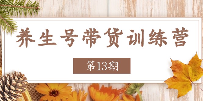 (11275期)养生号-带货训练营【第13期】收益更稳定的玩法,让你带货收益爆炸